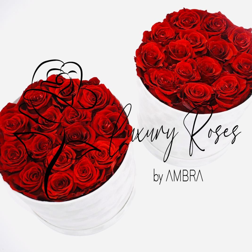 Bundle 3 Eternal Box red Roses Velvet Gift Real Preserved Flowers Bouquet Bucket Anniversary Birthday Present Handmade immortal