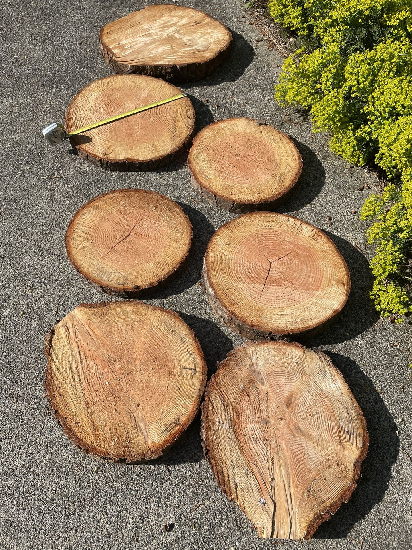 Wood Slices For Event Centerpieces - Wedding Decor