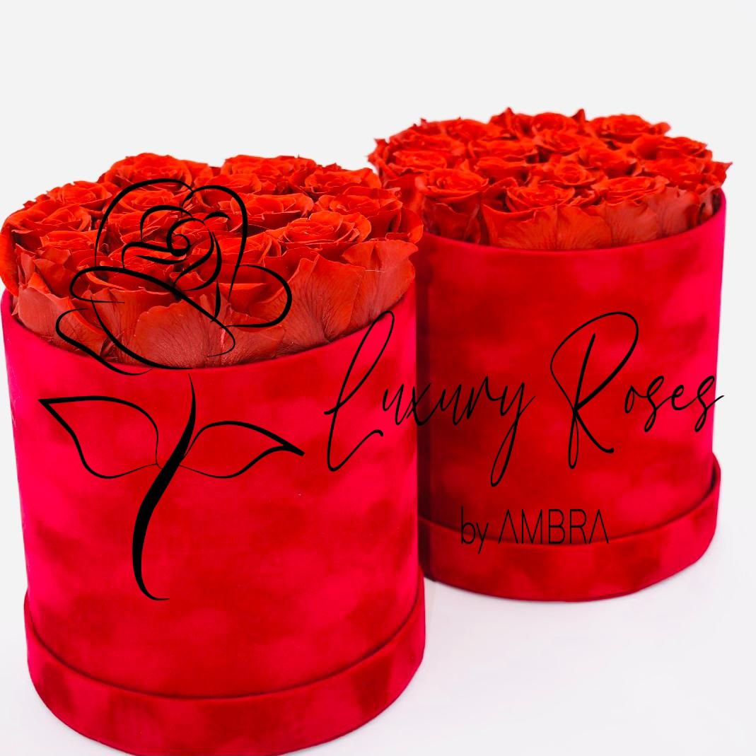 Red roses red velvet Box Eternal Box Roses bucket bouquet Gift Real Preserved Flowers Anniversary Birthday Present Luxury immortal roses