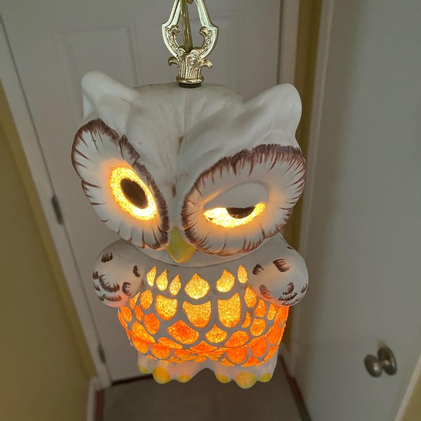 ***PENDING SALE***Vintage Mid Century Modern Pottery Lucite Owl Hanging Swag Lamp