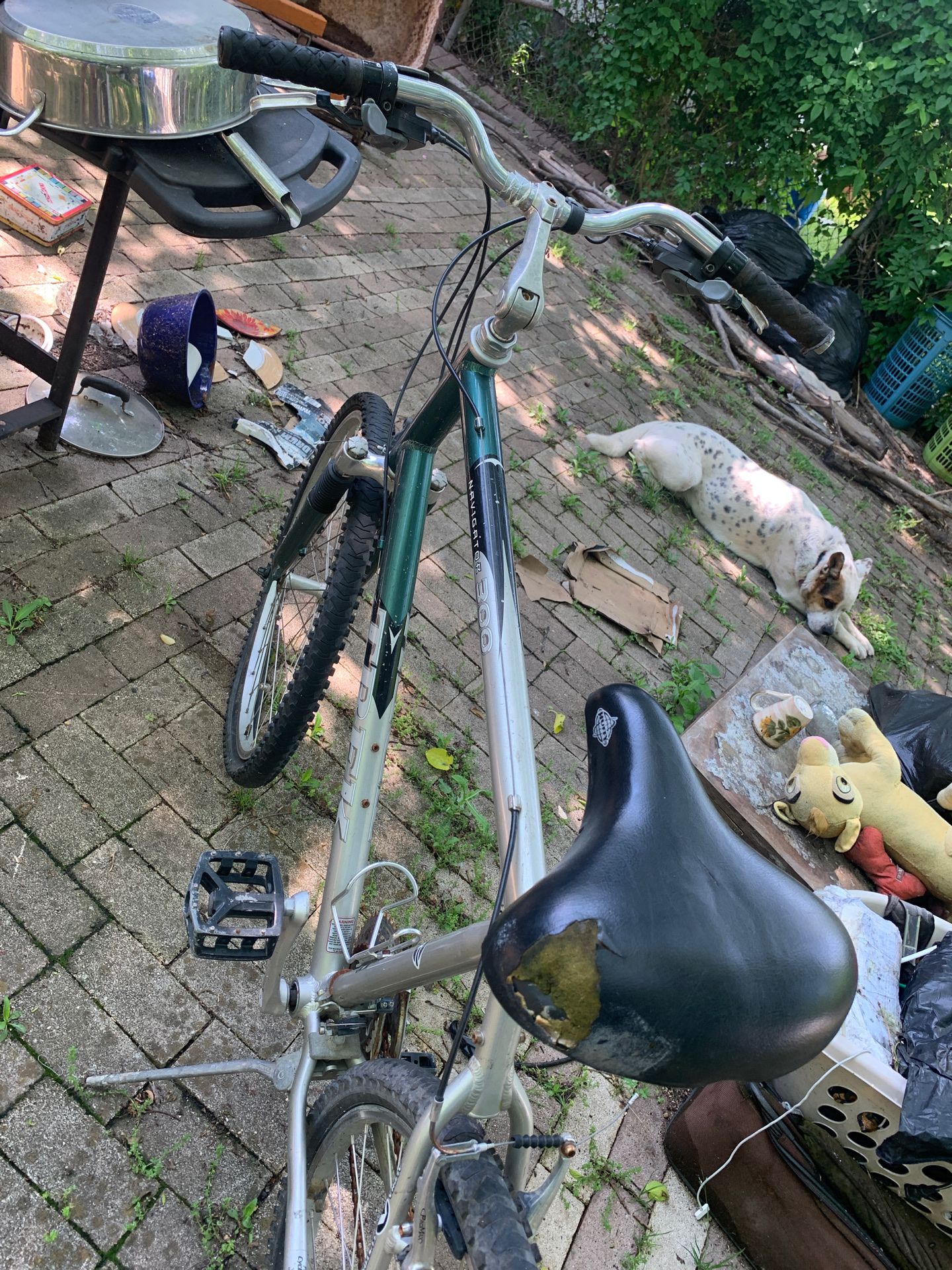 Trek Navigator 300 Bike