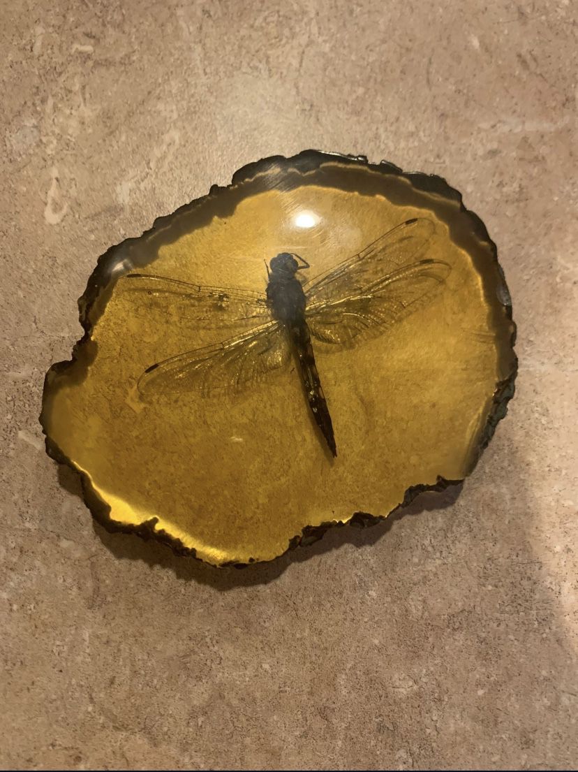 Amber Resin Dragonfly