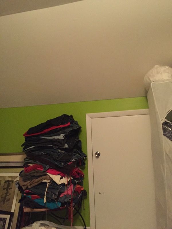 Plus size designer jeans and velour jogging pants all like new 4 pairs 10.00 smoke bug and pet free