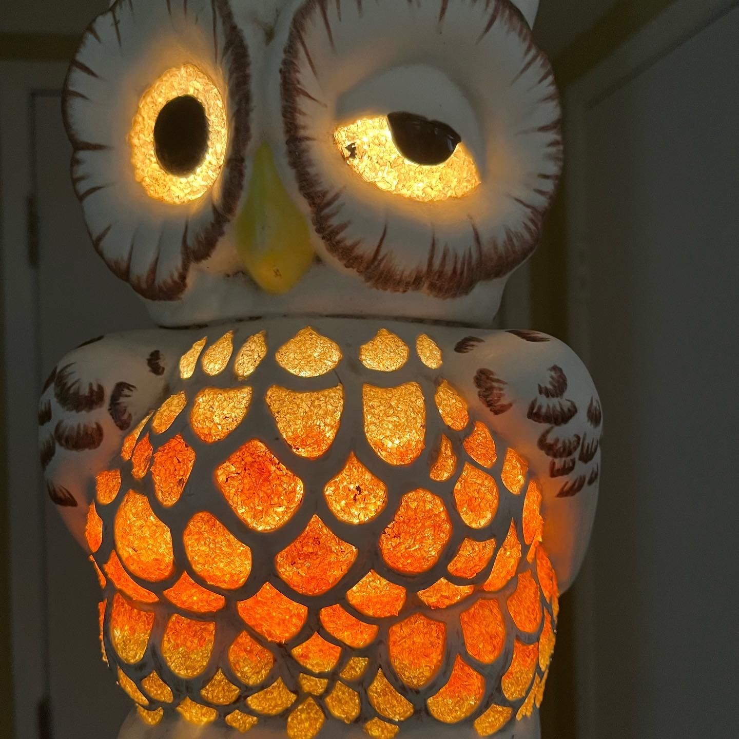 ***PENDING SALE***Vintage Mid Century Modern Pottery Lucite Owl Hanging Swag Lamp