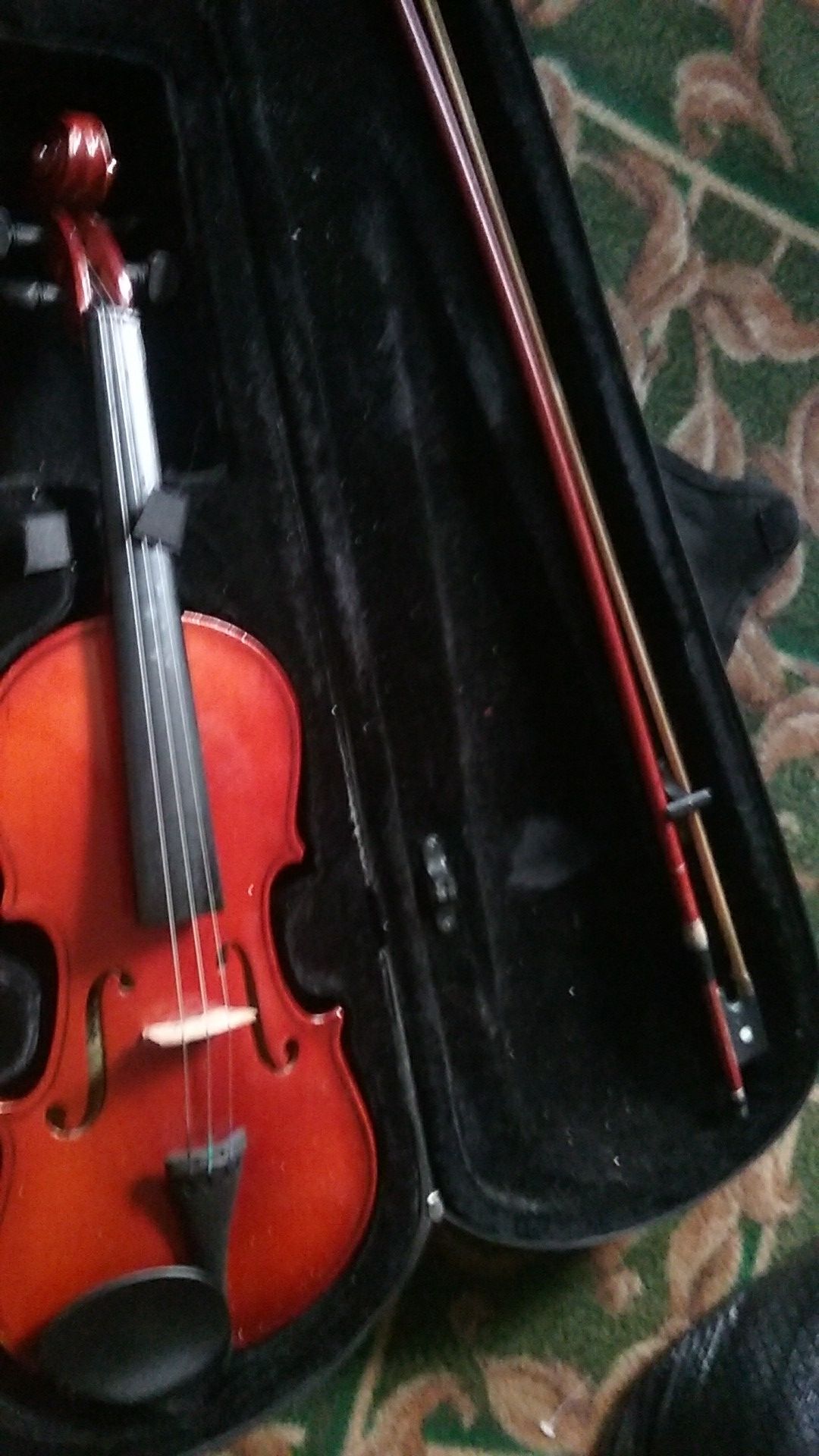 Violin