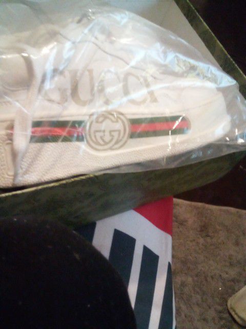Gucci Gym Shoes Brand New