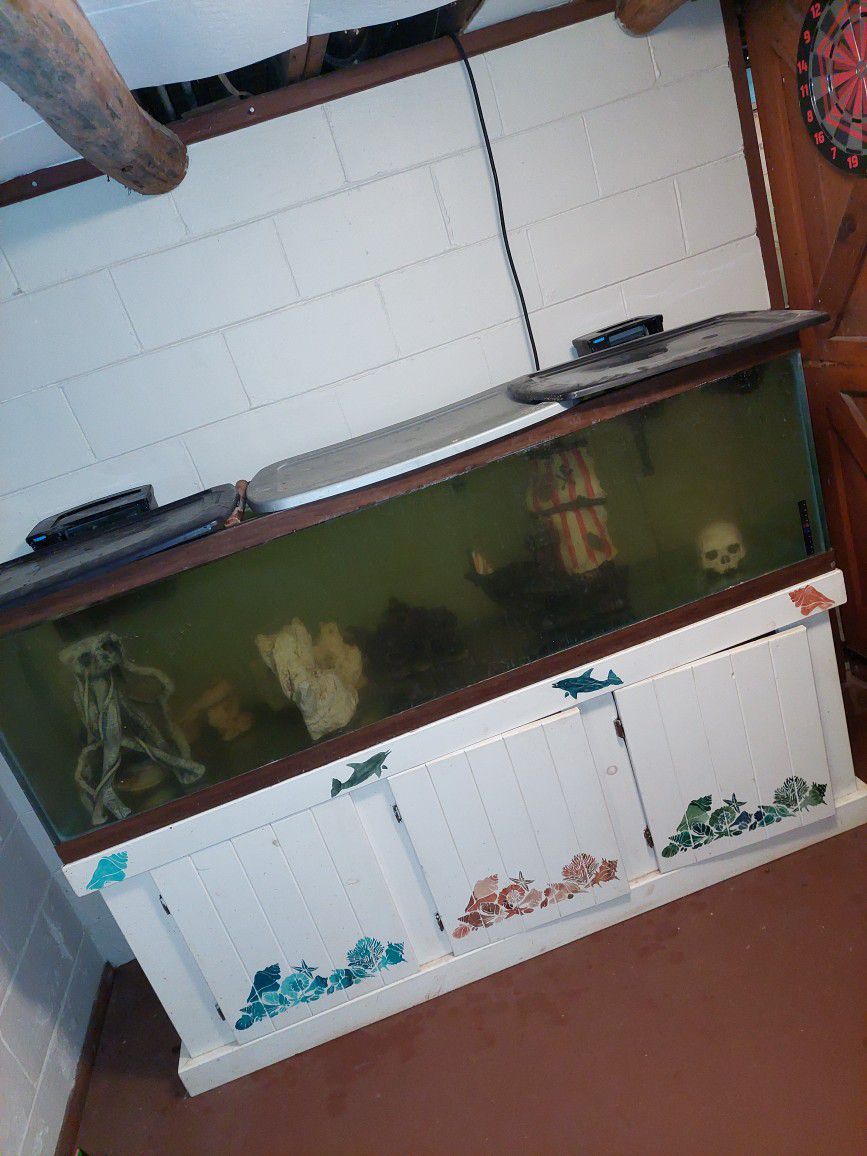 5 Piranhas,  120 Gallon Fish Tank, Tank Accessories,  Tank Cleaner,  2 Tank Filters 
