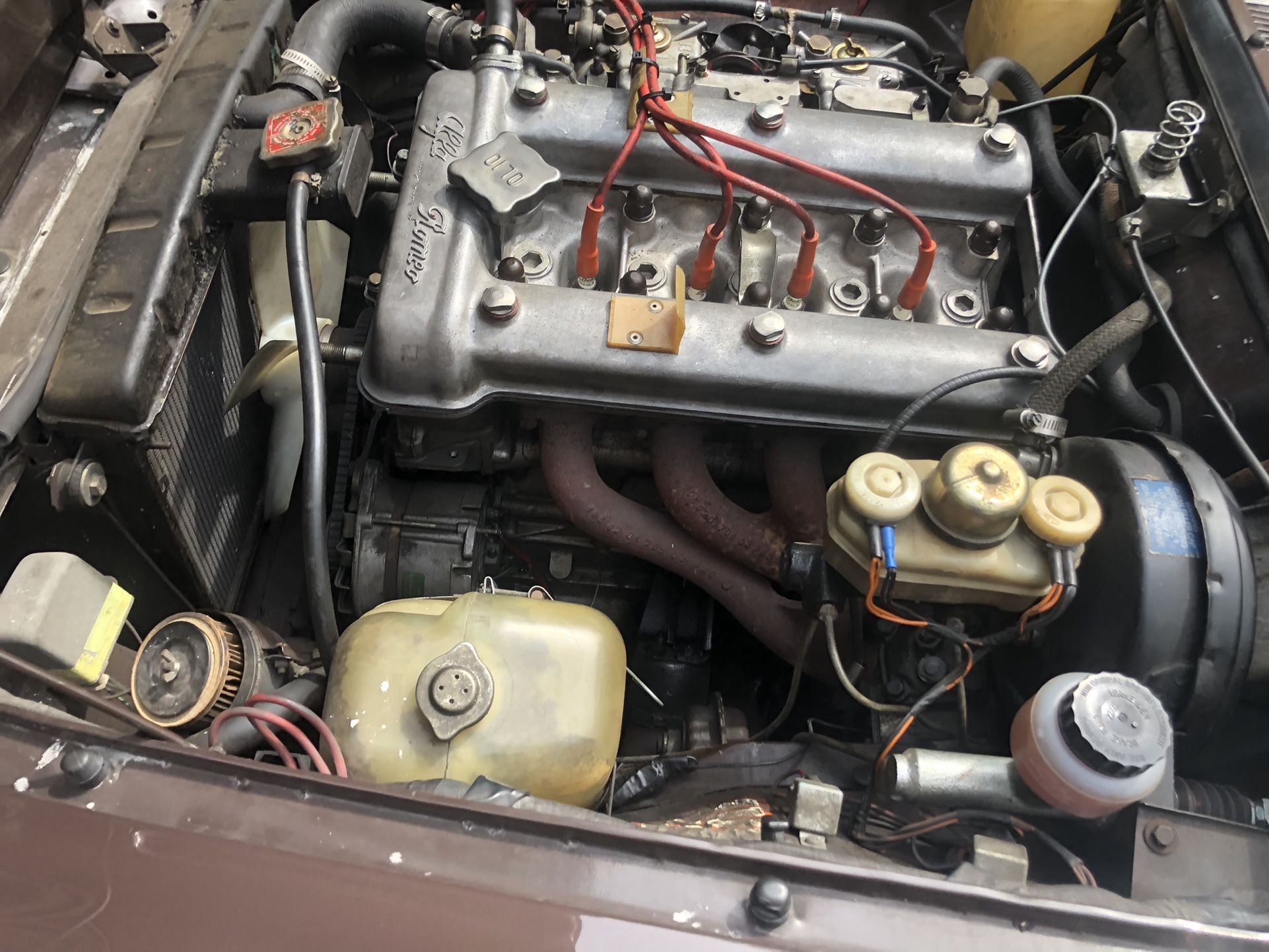 1979 Alfa Romeo Spider Perfect Condition