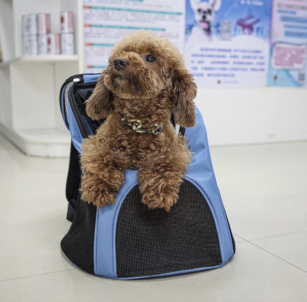 Dog Carrier Backpacks for Small Dogs, Cat Backpack with Breathable Mesh Ventilated Design