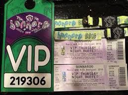 2 Bonnaroo Tickets (VIP 4 Day)