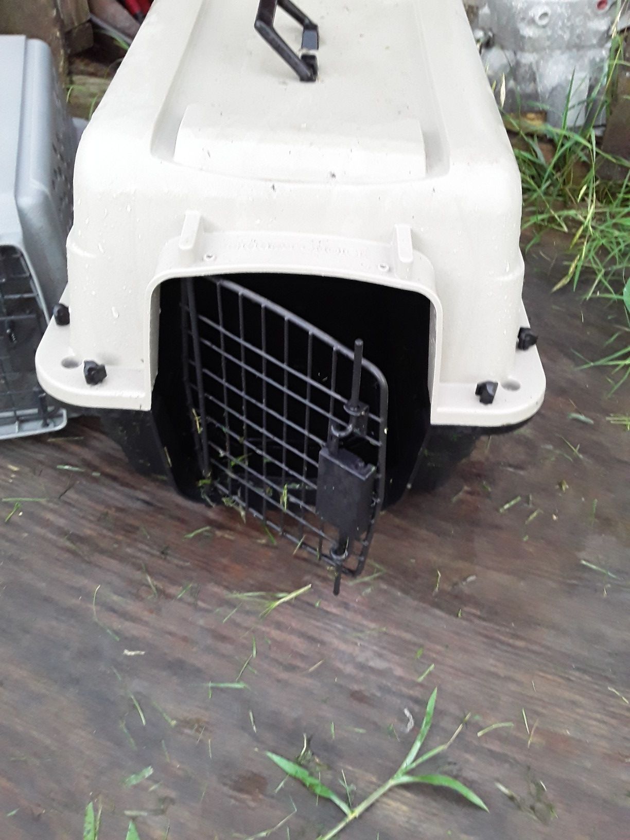 Dog kennel