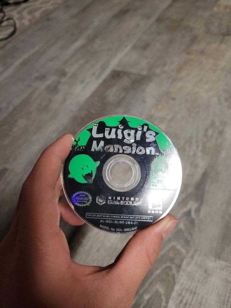 Luigis Mansion