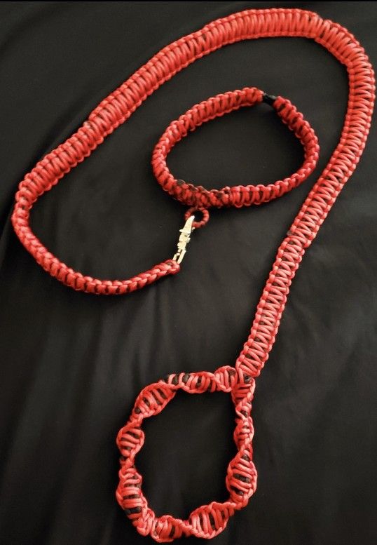 Paracord Dog Leash With Collar