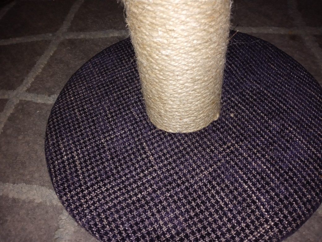Cat Scratcher