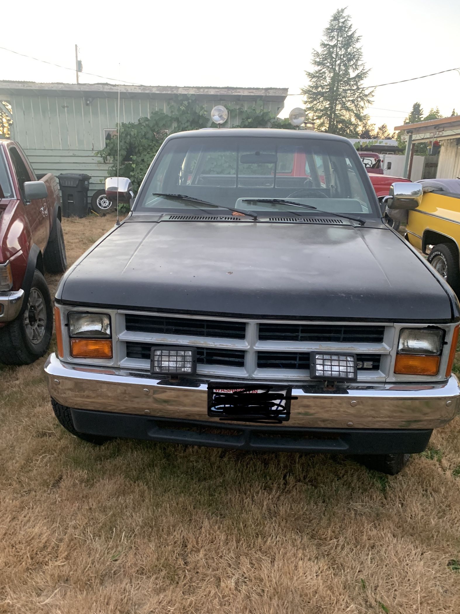 1987 Dodge Dakota