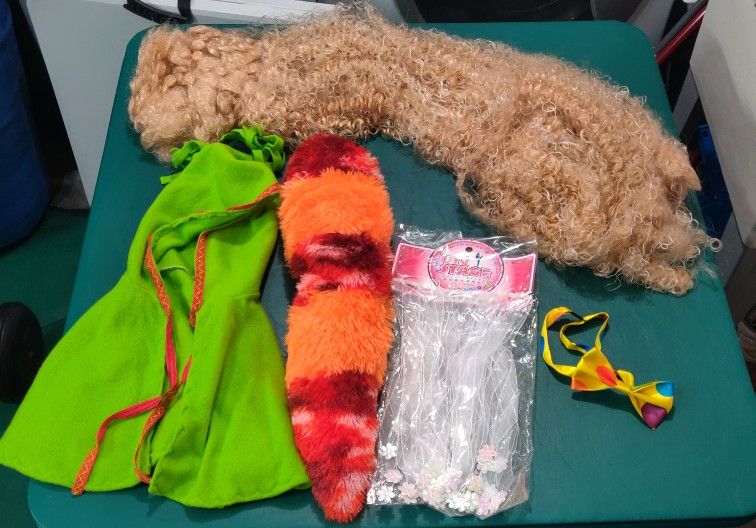 Halloween Costume Accessories