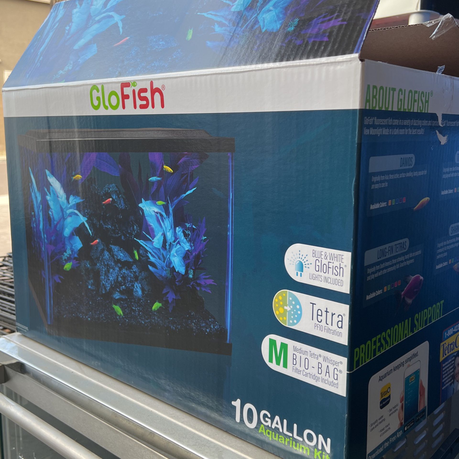 GloFish 10 Gallon Aquarium Fish Tank 