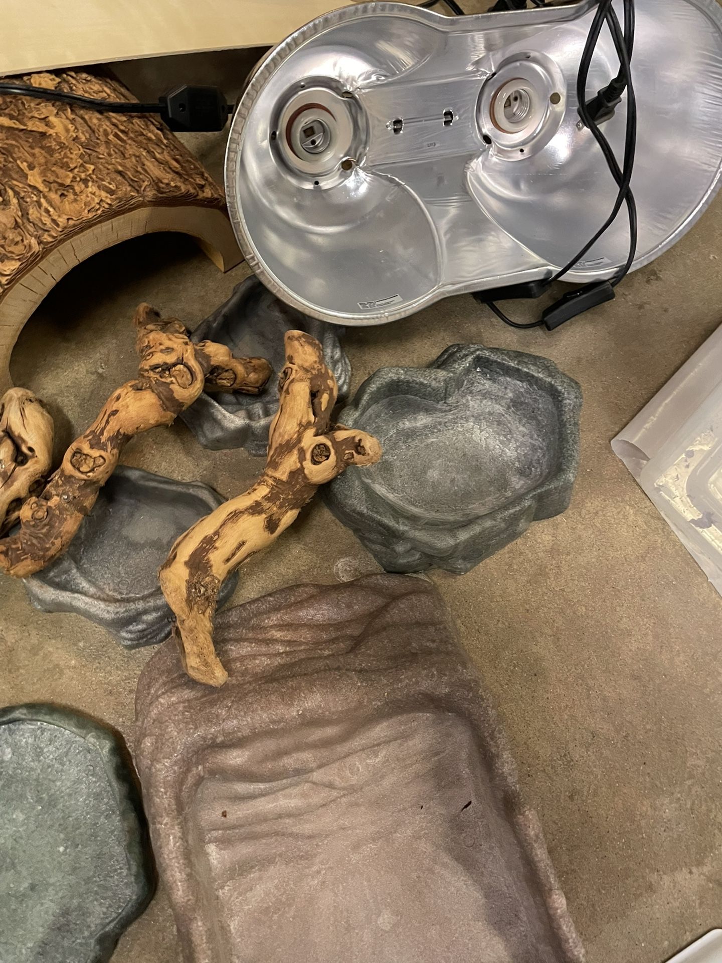 Reptile Stuff