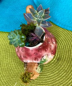  Beautiful vintage strawberry tea kettle filled with Live succulents stones and moss Thumbnail