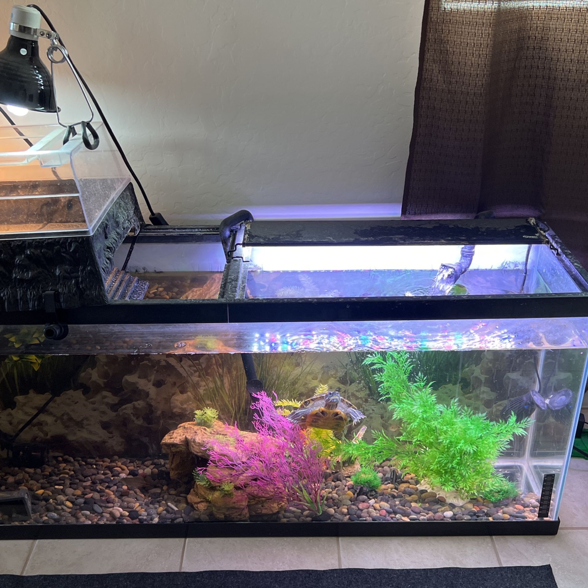 50 Gallon Tank And Filter