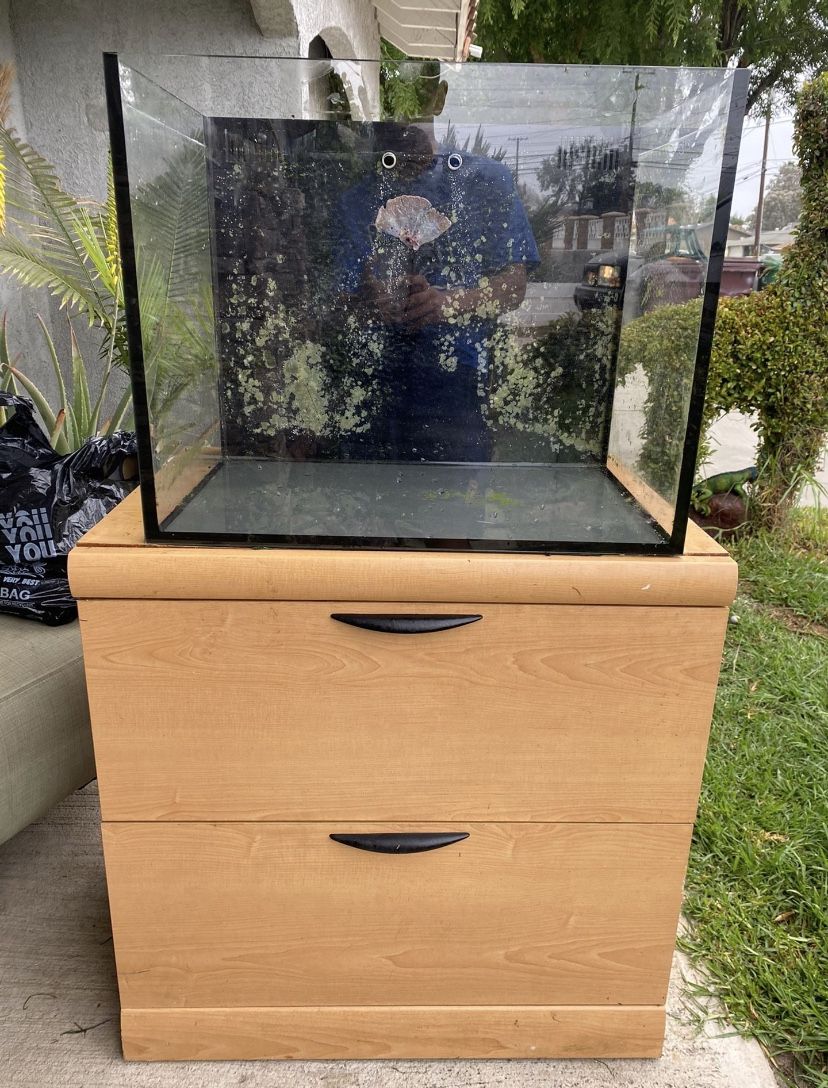 Saltwater Aquarium