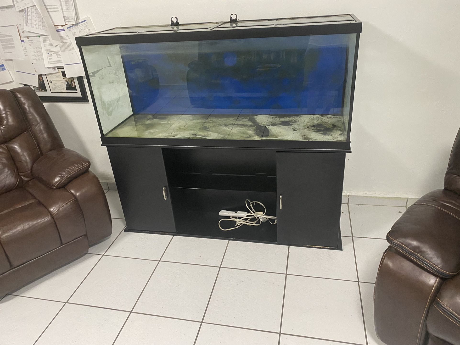 Fish Tank