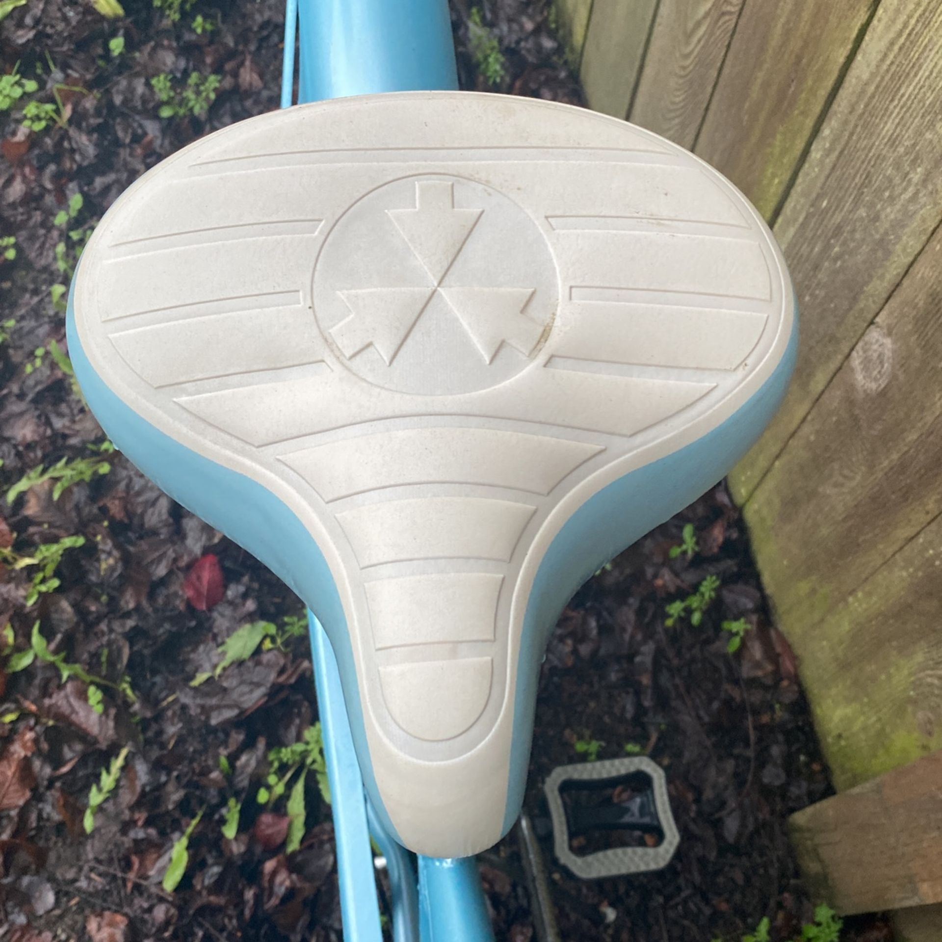 Green line powder blue cruiser bike