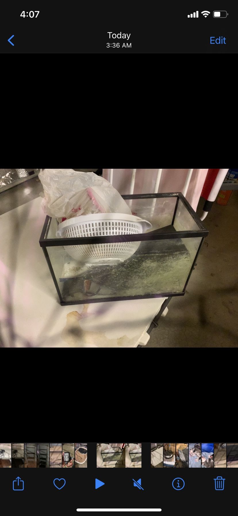 Fish Tank