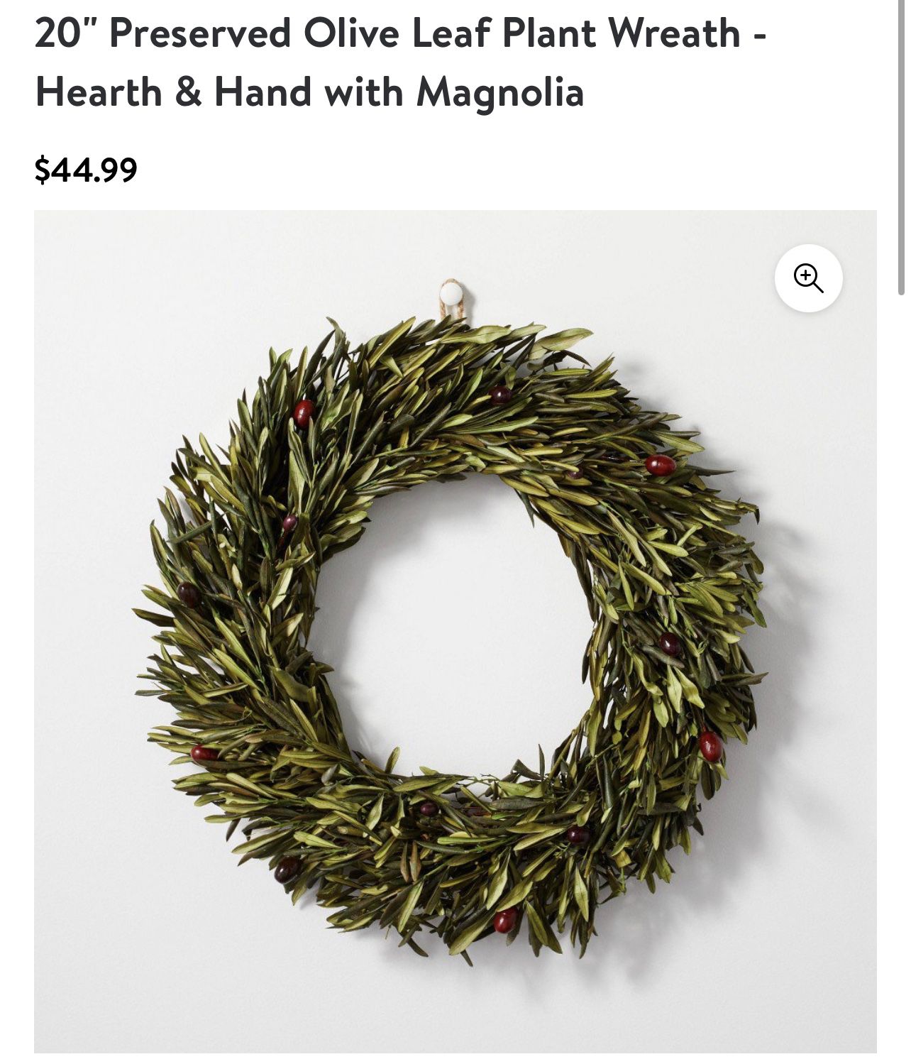 20" Preserved Olive Leaf Plant Wreath - Hearth & Hand with Magnolia