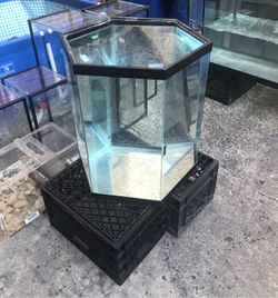 35 gallon Hexagon Aquarium Fish Tank Complete $300 Thumbnail