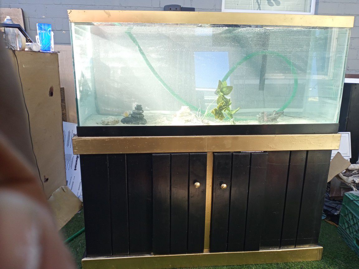 75 Gallon Custom Fish Tank Aquarium And Stand