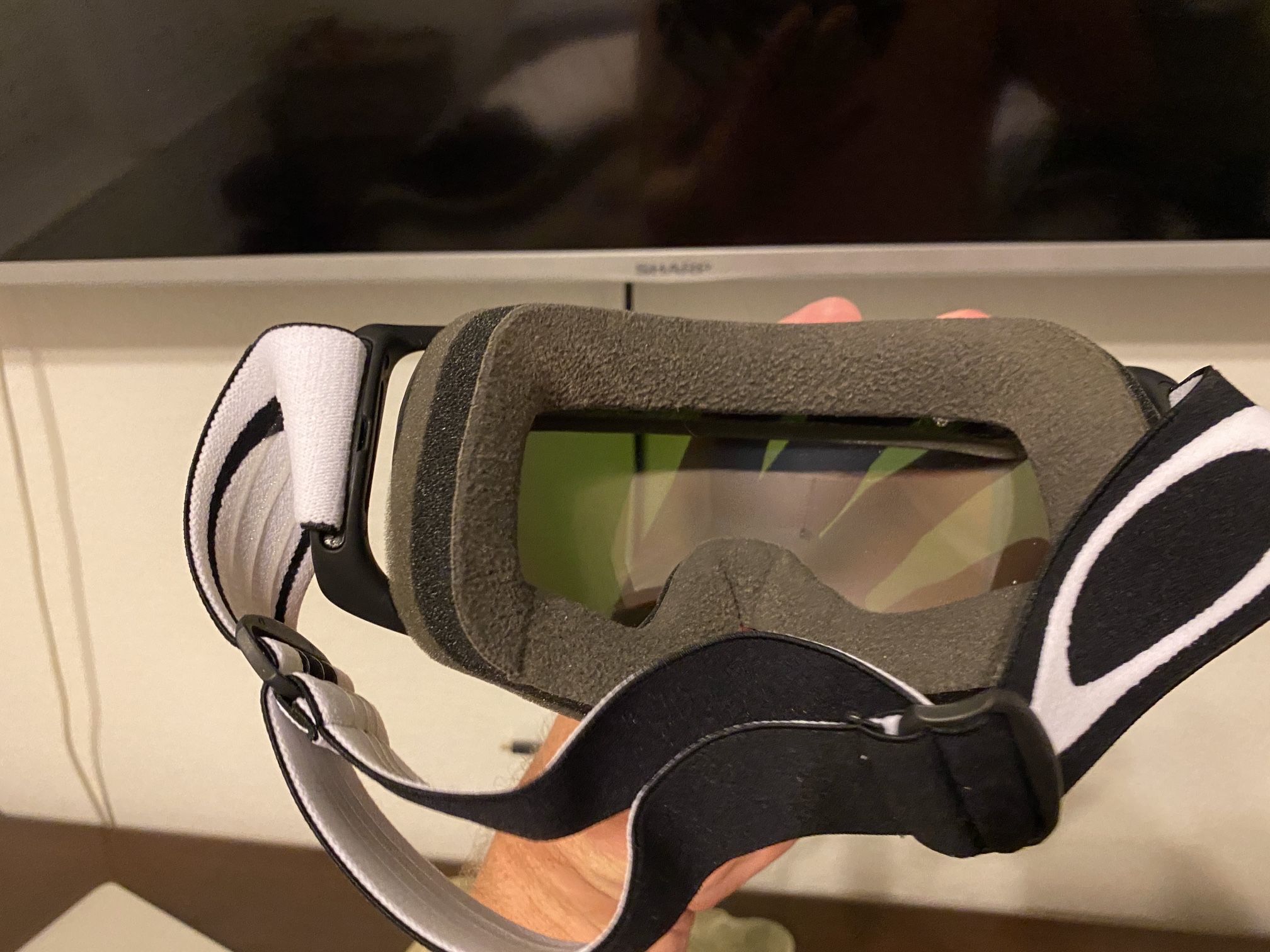 Oakley Goggles