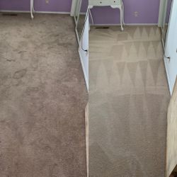 Carpet, Upholstery , Tile&Grout  Thumbnail