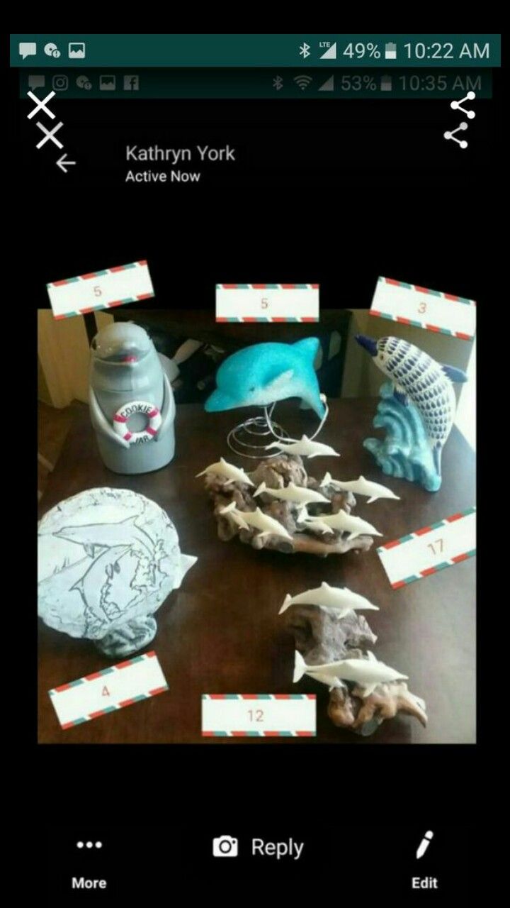 Dolphin Decor