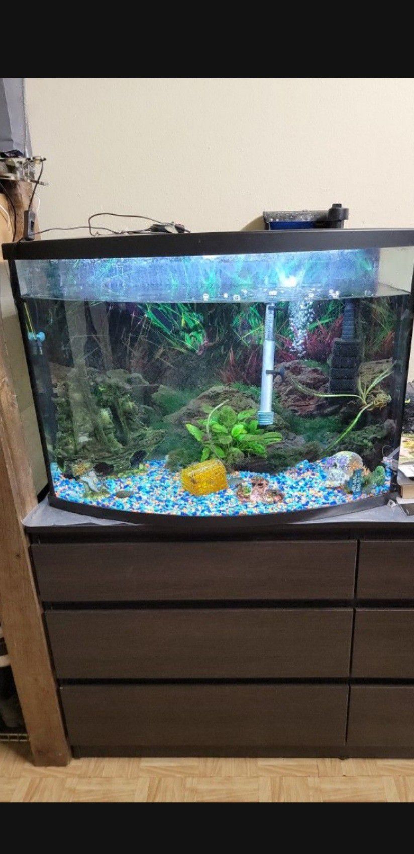 36 Gallons Fish Tank