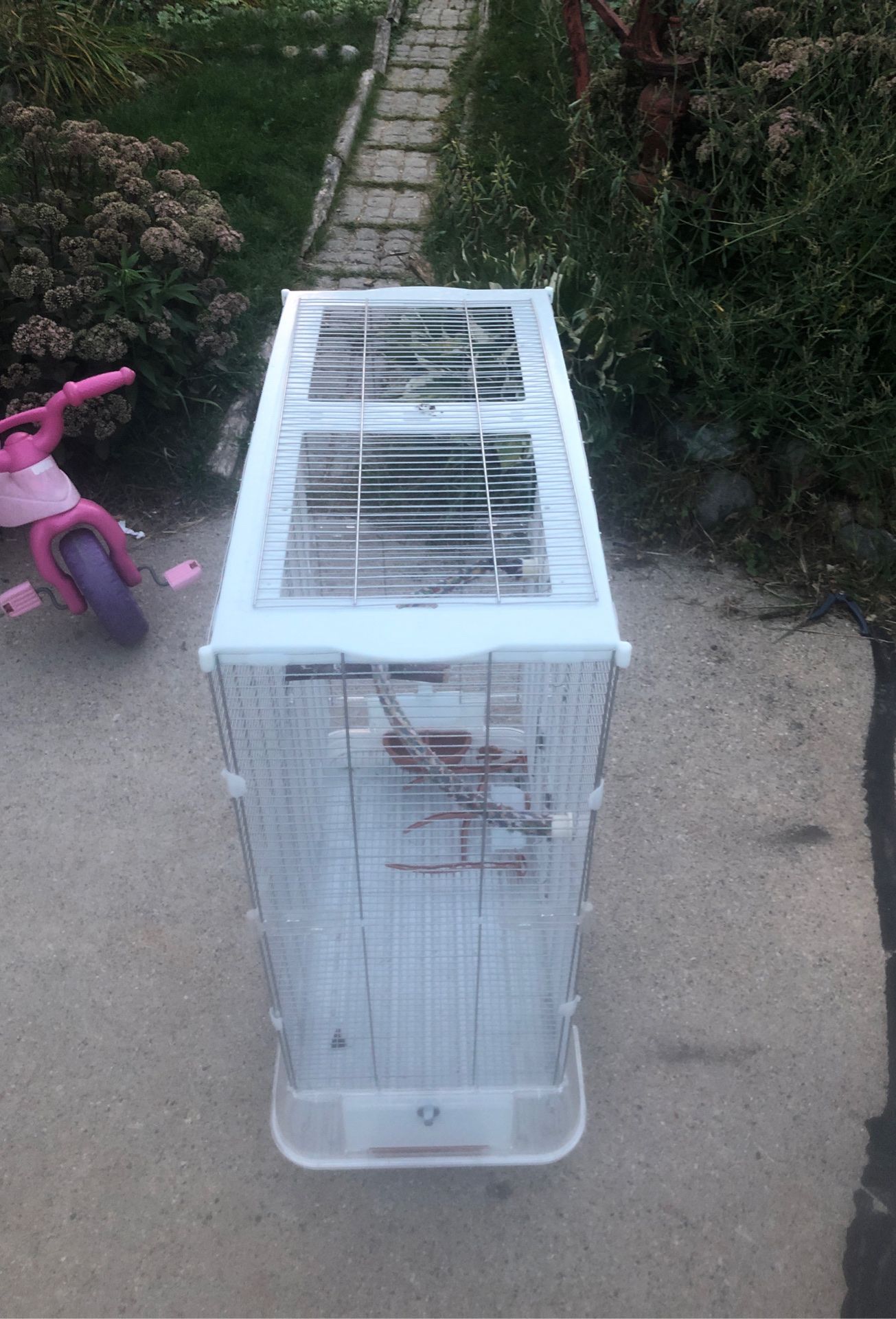 Bird cage
