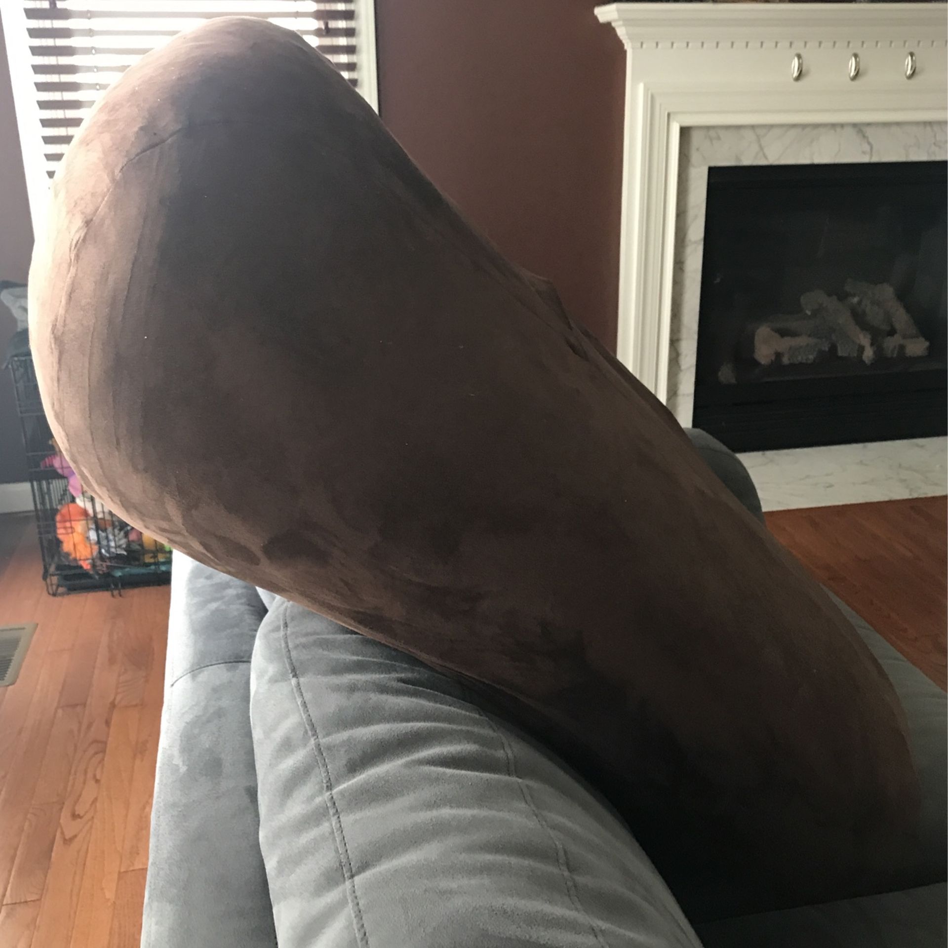 Big Brown And Fluffy Pillow