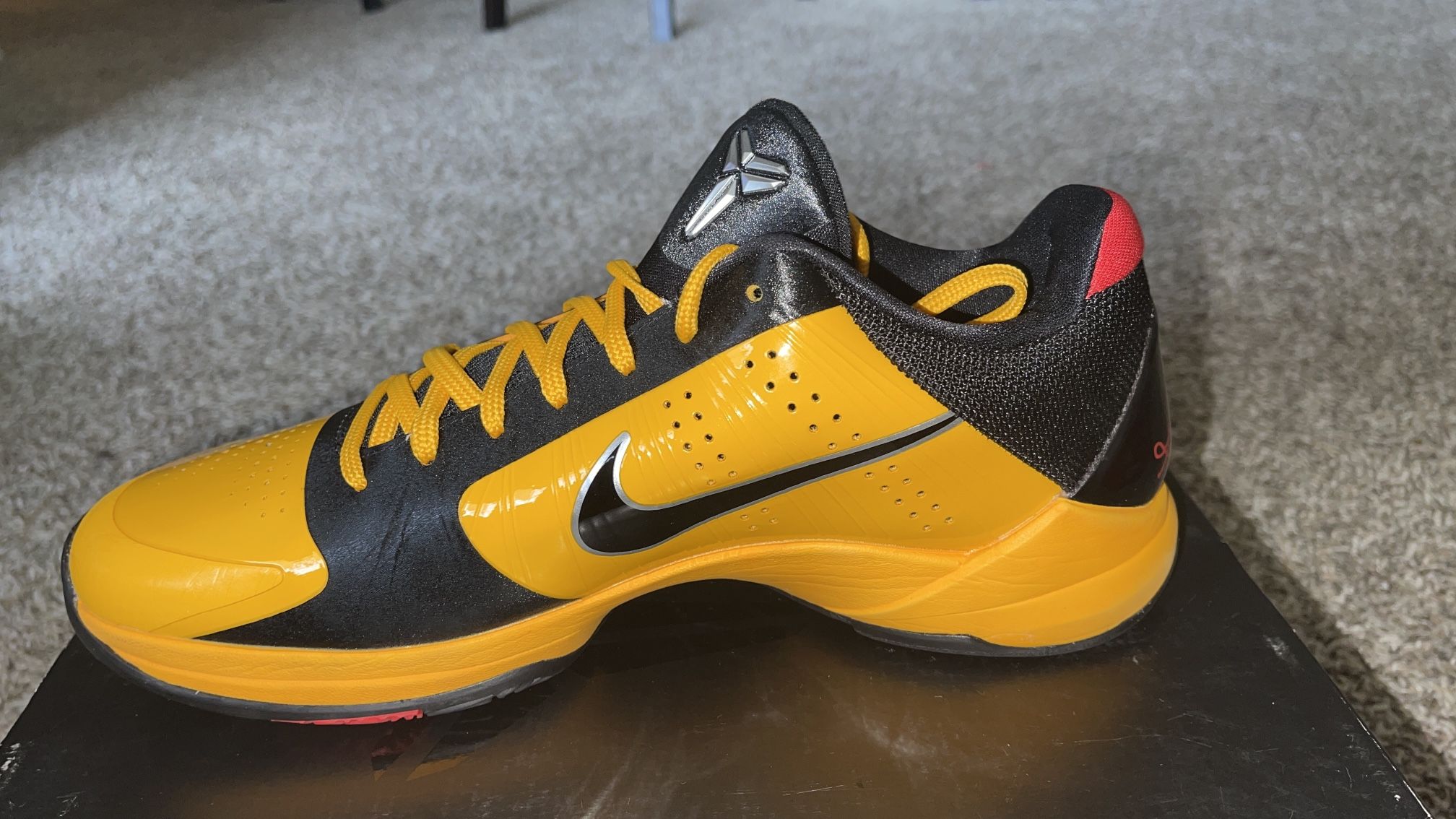 Nike Kobe 5 Protro Bruce Lee