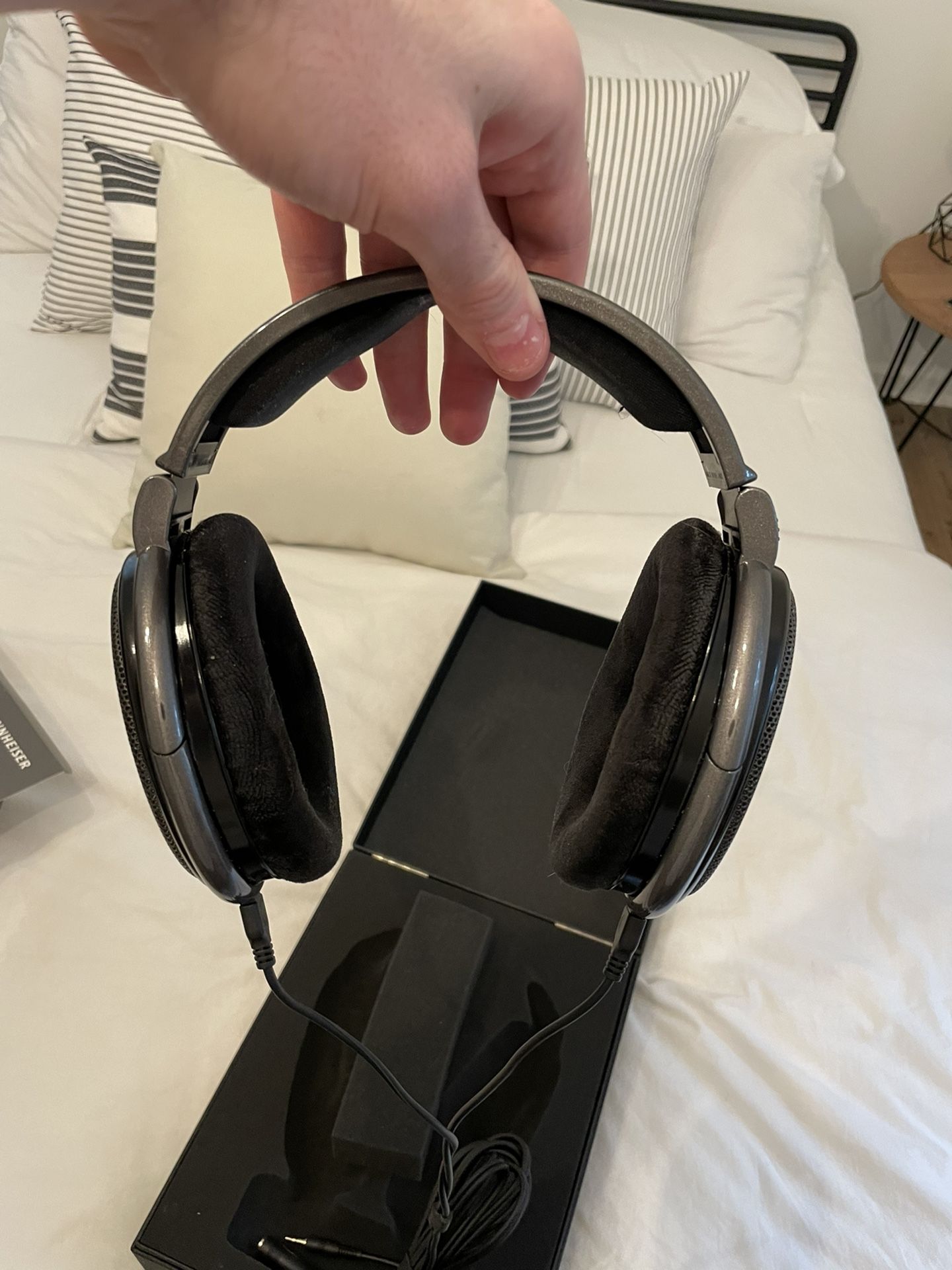 Sennheiser HD650 Studio Headphones