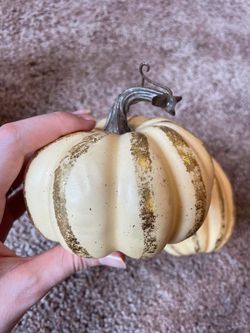 Halloween pumpkin and trick or treating dog decorations Thumbnail
