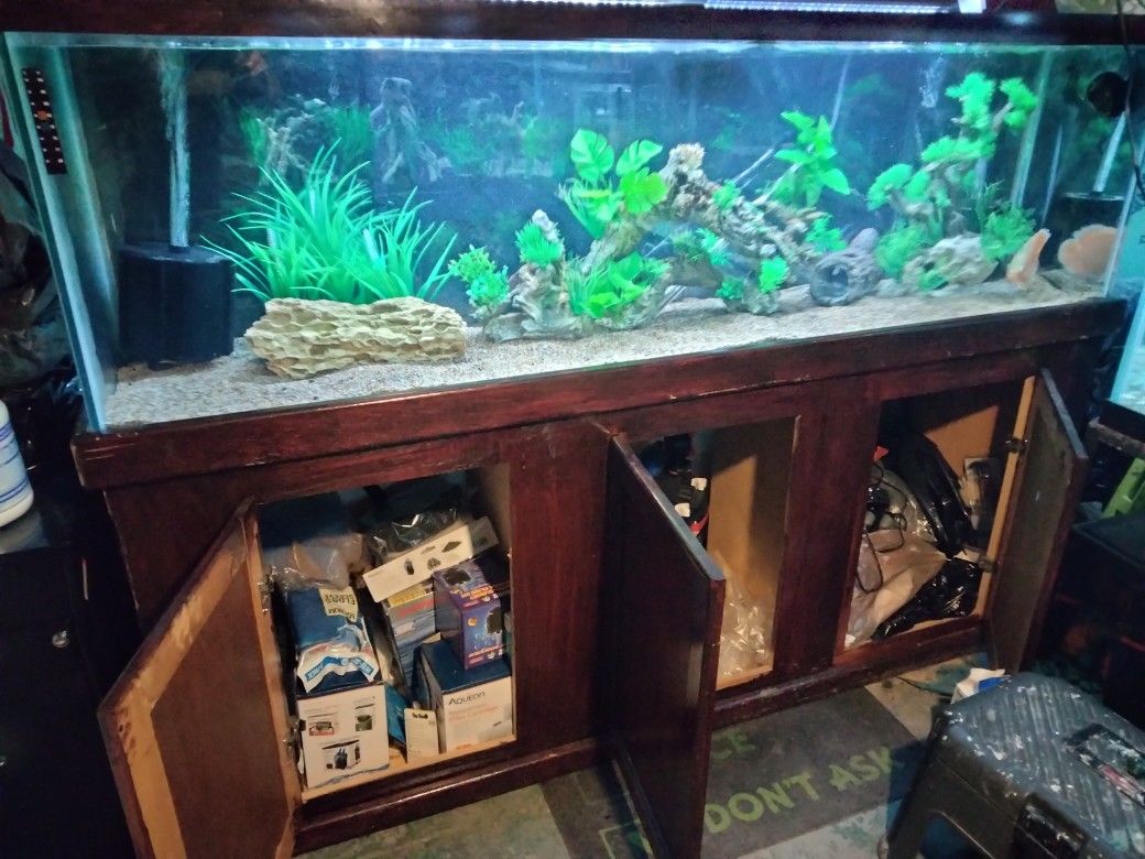 125 Gallon Fish Tank In Stand Obo