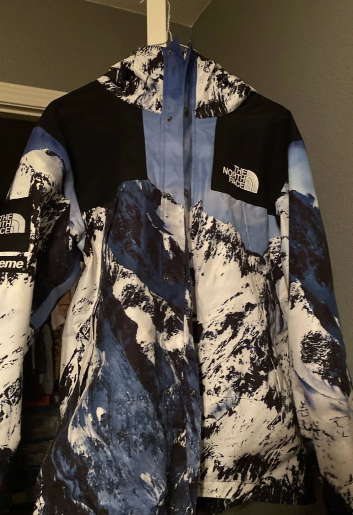 Supreme: North Face Parka