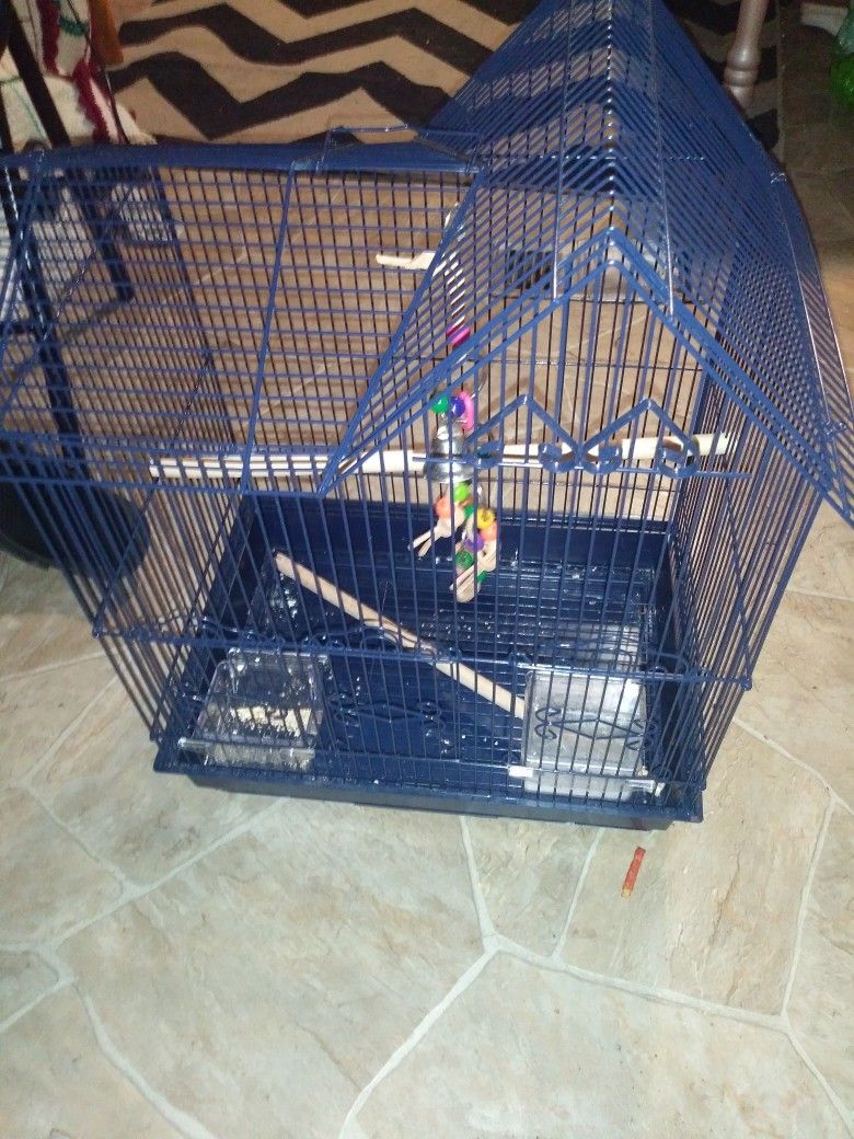 New Birdcage