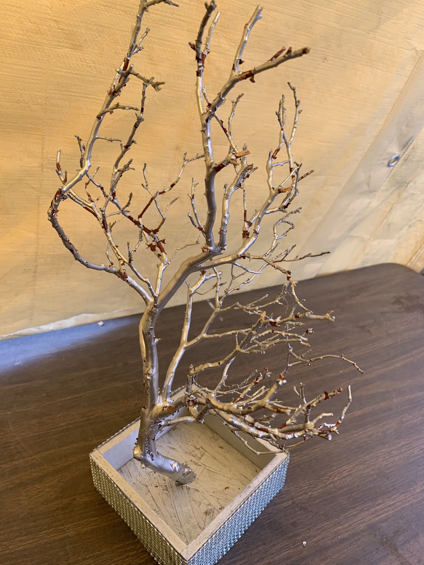 Manzanita Tree In Shadow Box With Jewels
