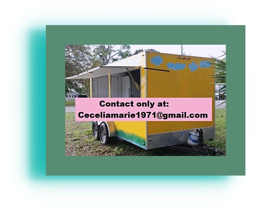Food Trailer BBQ 16673