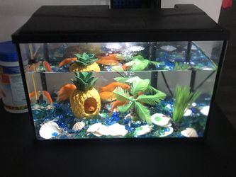 Fish Tank Thumbnail