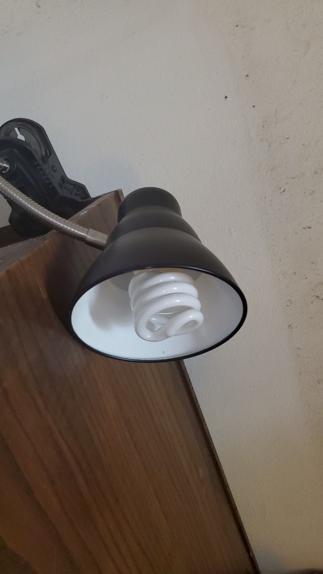 Assorted Lamps and Flashlights