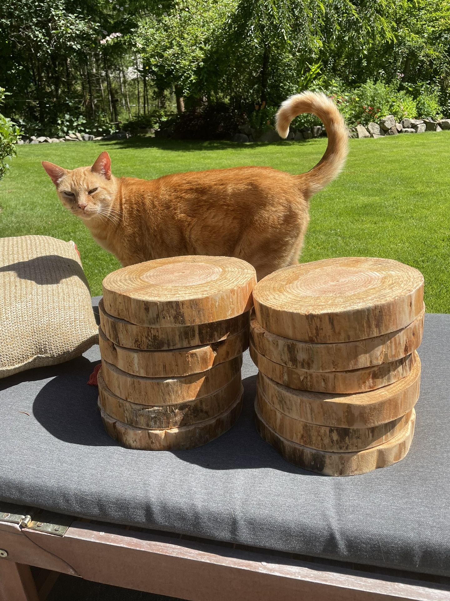 Wood Slices For Event Centerpieces - Wedding Decor