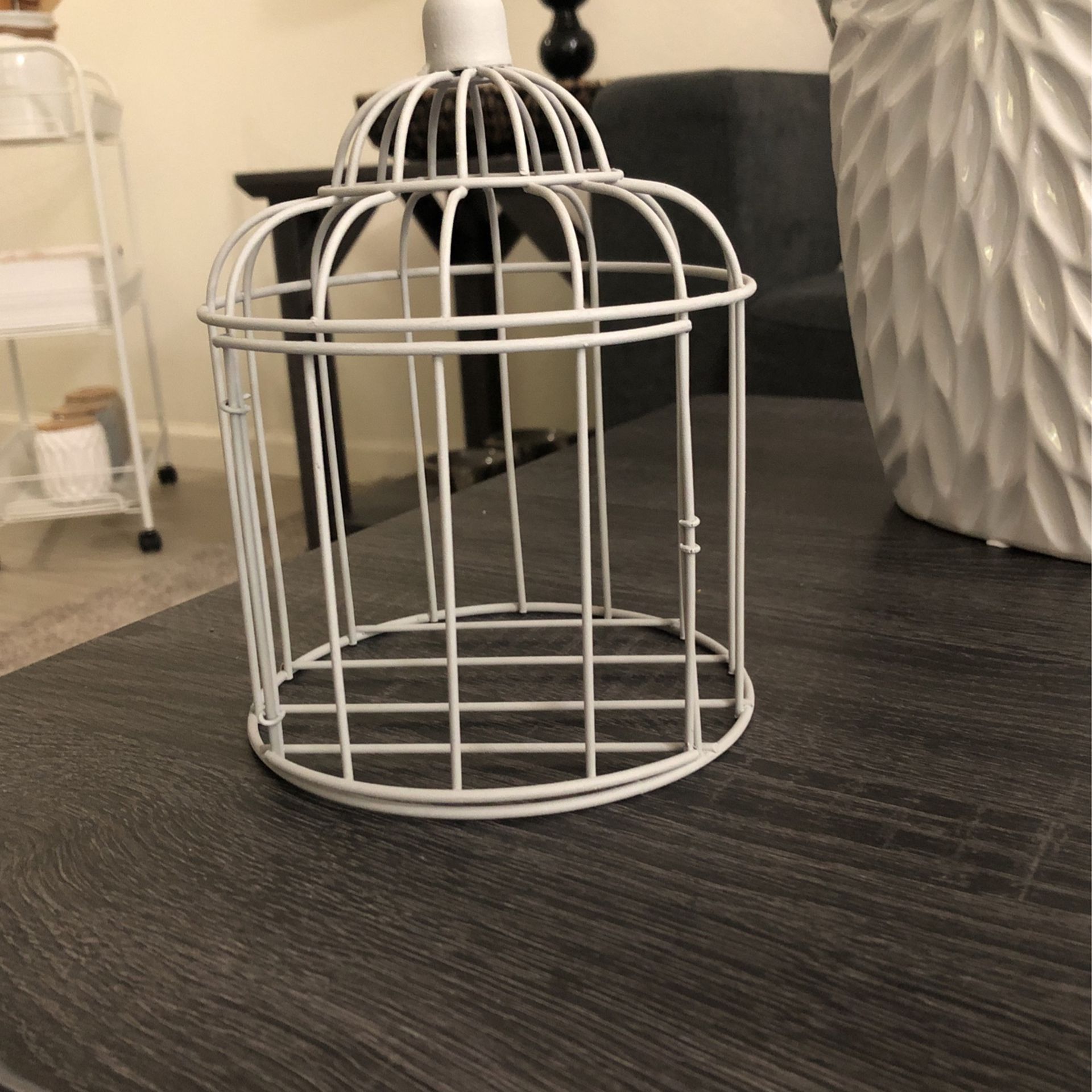 Small bird Cage 