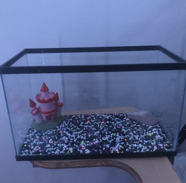 Fish Tank